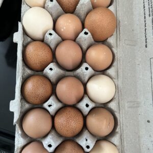 Carton of Eggs
