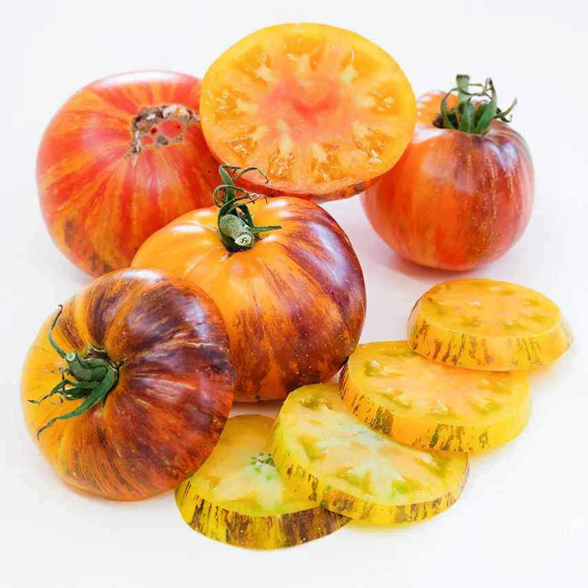 tomAlice Alice's Dream Tomato
