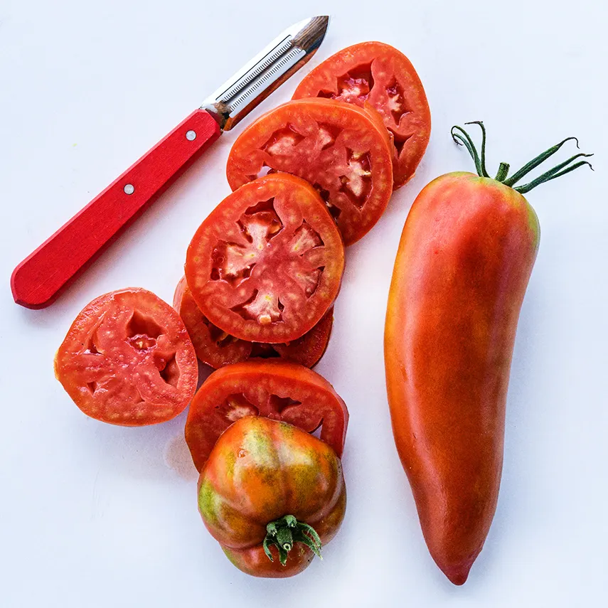 tomJerseyDevil Jersey Devil Tomato