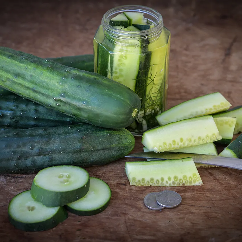 cucumberMarketmore76 Marketmore 76 Cucumber